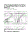 ứng dụng lý thuyết Graph vào dạy học phần di truyền học lớp 12 thpt