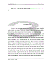 Kế toán tiêu thụ hàng hoá và xác định kết quả kinh doanh tại Công ty cổ phần giải pháp công nghệ và xúc tiến đầu tư Việt Nam 1