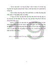 Thực trạng thị trường của công ty kinh doanh than hà nội 1