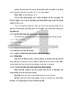 Thực trạng thị trường của công ty kinh doanh than hà nội 1