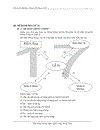 xây dựng chương trình quản lý khách sạn bằng ngôn ngữ Visual Basic