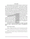 Hoàn thiện kế toán tiêu thụ hàng hoá và xác định kết quả kinh doanh tại Công ty cổ phần Điện lạnh Dân dụng và Công nghiệp Bảo Linh 1