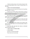 Hoàn thiện kế toán tiêu thụ hàng hoá và xác định kết quả kinh doanh tại Công ty cổ phần Điện lạnh Dân dụng và Công nghiệp Bảo Linh 1