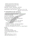 Tình hình đóng thuế của Công ty TNHH Vinh an