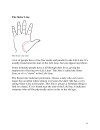 Palmistry Secrets