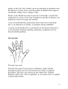 Palmistry Secrets