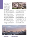 Rough Guide London