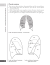 A Z of Chest Radiology