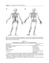 Bone Densitometry for Technologists