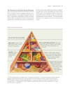 Encyclopedia of Foods