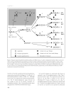 Human Blood Groups