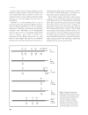 Human Blood Groups