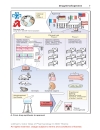 Color Atlat of Pharmacology 2edition