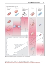 Color Atlat of Pharmacology 2edition