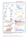 Color Atlat of Pharmacology 2edition