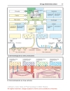 Color Atlat of Pharmacology 2edition