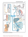 Color Atlat of Pharmacology 2edition