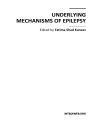 Underlying Mechanisms of Epilepsy