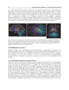 Autism Spectrum Disorders From Genes to Environment