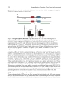 Autism Spectrum Disorders From Genes to Environment