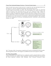 Approaches to Bronchitis