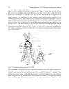 Gingival Diseases Their Aetiology Prevention and Treatment