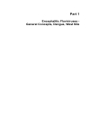 Flavivirus Encephalitis