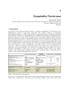 Flavivirus Encephalitis