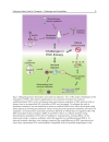 Embryonic Stem Cells Basic Biology to Bioengineering