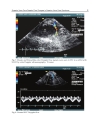 Establishing Better Standards of Care in Doppler Echocardiography Computed Tomography and Nuclear Cardiology