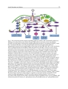 Medical Complications of Type 2 Diabetes