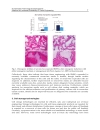 Regenerative Medicine and Tissue Engineering Cells and Biomaterials