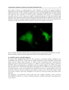 Advances in the Etiology Pathogenesis and Pathology of Vasculitis