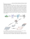 Advances in the Etiology Pathogenesis and Pathology of Vasculitis