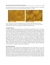 Embryonic Stem Cells The Hormonal Regulation of Pluripotency and Embryogenesis