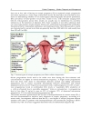 Ectopic Pregnancy Modern Diagnosis and Management