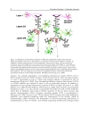 Psychiatric Disorders Worldwide Advances