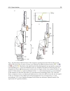 Microbes Viruses and Parasites in AIDS Process