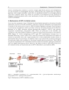 Hypoglycemia Causes and Occurrences