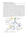 Sarcoidosis Diagnosis and Management