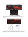 Ultrasound Imaging Medical Applications