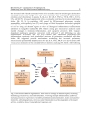 Kidney Transplantation New Perspectives