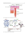 Gastritis and Gastric Cancer New Insights in Gastroprotection Diagnosis and Treatments