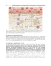 Etiology Pathogenesis and Pathophysiology of Aortic Aneurysms and Aneurysm Rupture