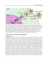 HIV Host Interactions