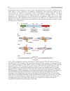 HIV Host Interactions