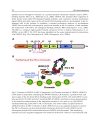 HIV Host Interactions