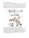 HIV Host Interactions