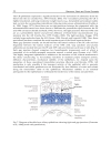 Glaucoma Basic and Clinical Concepts