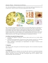 Alzheimerâ s Disease Pathogenesis Core Concepts Shifting Paradigms and Therapeutic Targets